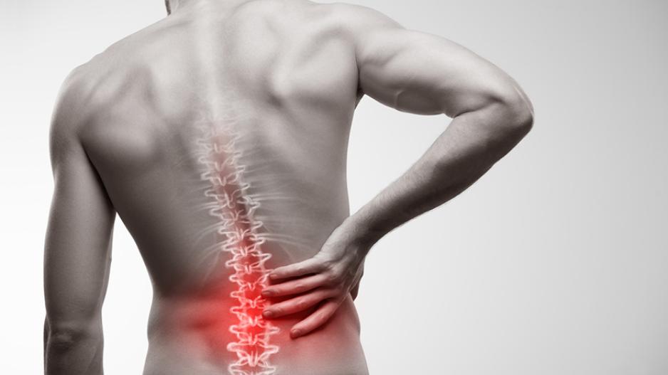 HSE campaign against musculoskeletal disorders