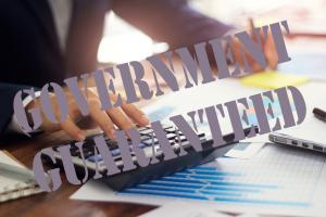 Government-guaranteed loans Government-guaranteed loans