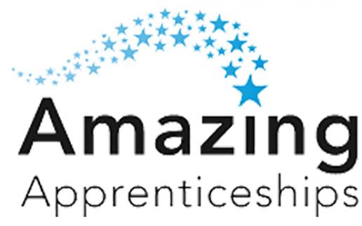 Amazing Apprenticeships Amazing Apprenticeships
