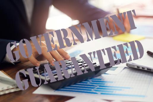 Government-guaranteed loans Government-guaranteed loans