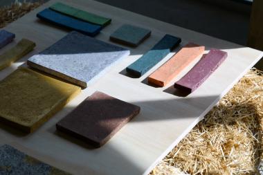 Image Credit: Philip Vile